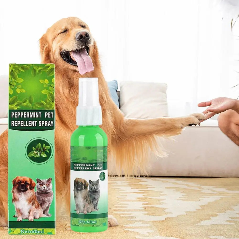 Gouttes Anti-Puces pour Animaux 60ml Tue-Puces Tiques Poux Acariens Chat Soulage les Démangeaisons Antiseptique Soin de la Peau Pulvérisateur Anti-Parasites pour Animaux