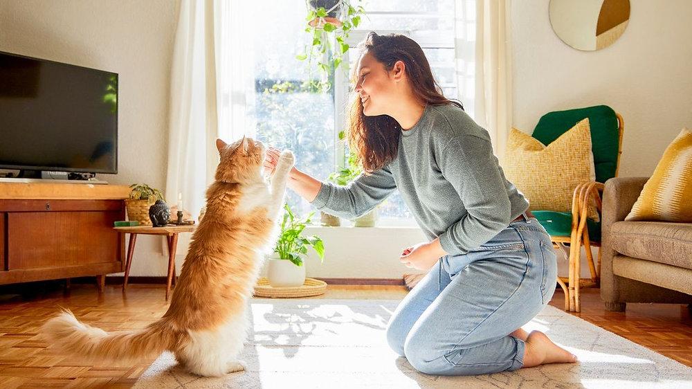 Why Playing With Your Cat Improves Their Health (and Happiness)