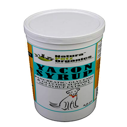 Yacon Leaf Syrup 10:1 (Alcohol-Free) – Pancreatic & Metabolic Support