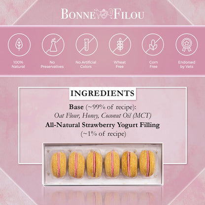 Dog Macarons - Box of 6 (Available in 12 Flavors)