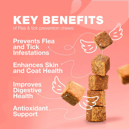 Natural Flea & Tick Protection Chews for Cats