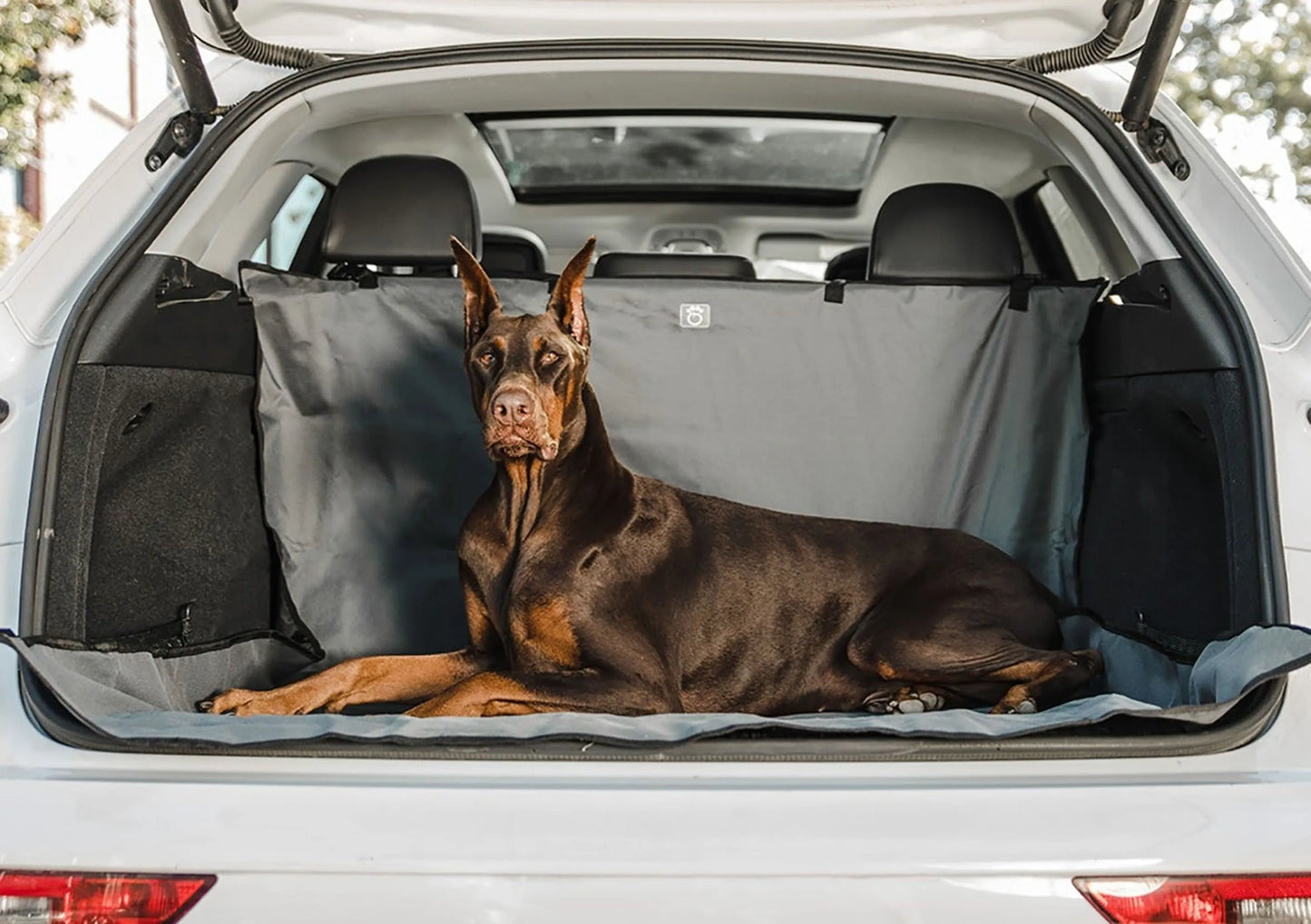 Pet Cargo Cover