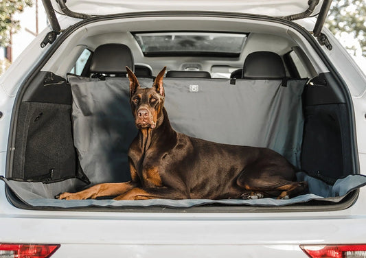 Pet Cargo Cover