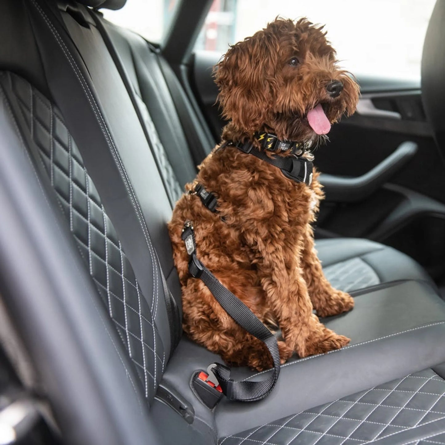 Pet Seat Belt  Pet travel protection
