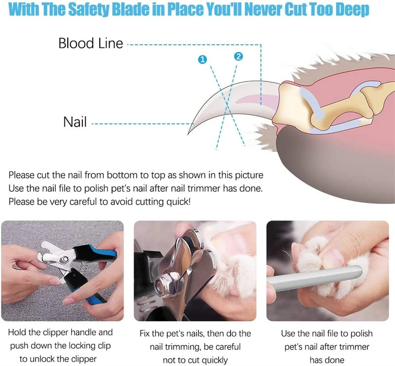 Coupe-ongles professionnel pour animaux de compagnie avec garde de sécurité Ciseaux en acier inoxydable pour chiens et chats pour le soin des griffes Fournitures de toilettage Taille unique