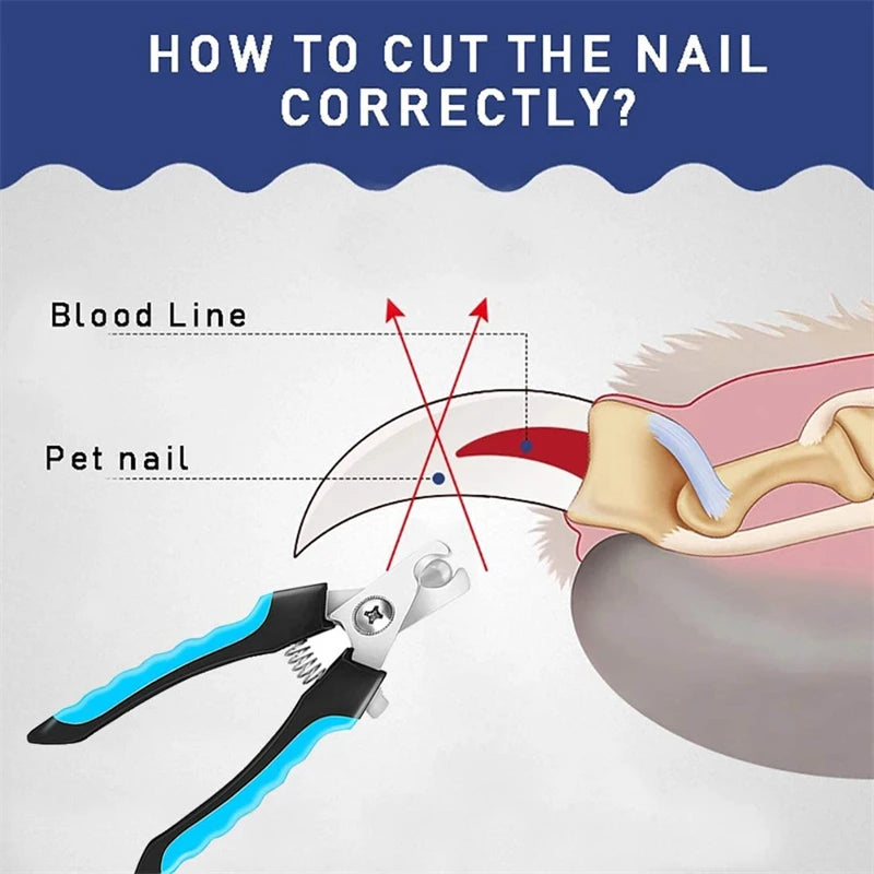 Coupe-ongles professionnel pour animaux de compagnie avec garde de sécurité Ciseaux en acier inoxydable pour chiens et chats pour le soin des griffes Fournitures de toilettage Taille unique