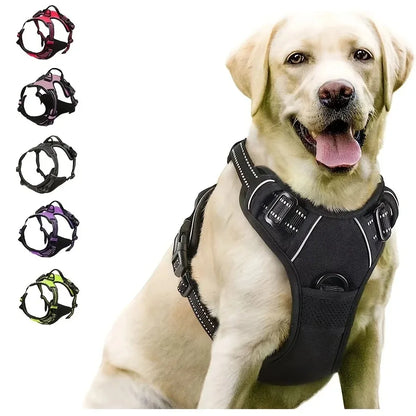 Dog Collars Harness Big Vests Leash Pet