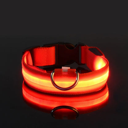 Nylon LED Night Safety, Dog Leash, Fluorescent Pet Dog Collar
