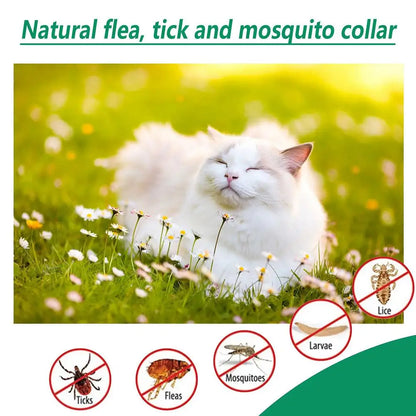 Gouttes Anti-Puces pour Animaux 60ml Tue-Puces Tiques Poux Acariens Chat Soulage les Démangeaisons Antiseptique Soin de la Peau Pulvérisateur Anti-Parasites pour Animaux