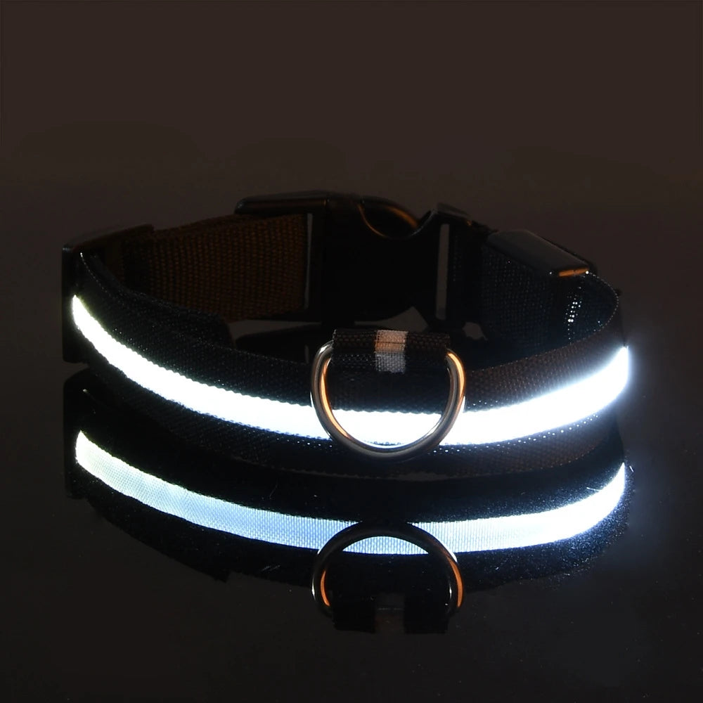 Nylon LED Night Safety, Dog Leash, Fluorescent Pet Dog Collar