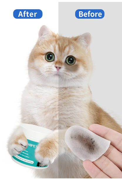 Produits de nettoyage pour animaux domestiques Lingettes oculaires pour enlever les traces de larmes Lingettes humides nettoyantes pour chats Nettoyage des yeux et élimination des traces de larmes