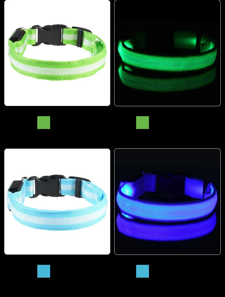 Nylon LED Night Safety, Dog Leash, Fluorescent Pet Dog Collar