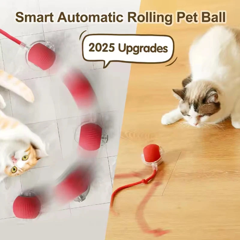 Cat toys cat smart cat balls