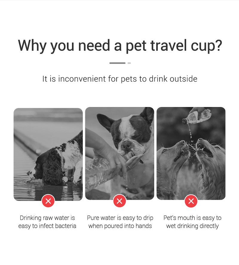 Bouteille d'eau portable pour chien, petite et grande, pour chat, bols d'eau étanches pour promenade en extérieur, fournitures pour Chihuahua et Bouledogue français