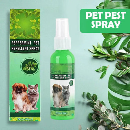 Gouttes Anti-Puces pour Animaux 60ml Tue-Puces Tiques Poux Acariens Chat Soulage les Démangeaisons Antiseptique Soin de la Peau Pulvérisateur Anti-Parasites pour Animaux
