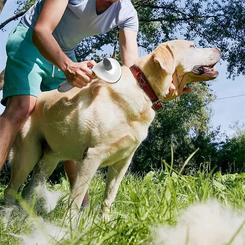 Brosse pour animaux de compagnie, peigne pour chat, brosse autonettoyante pour enlever les poils d'animaux, outils de toilettage pour chiens et chats, peigne démêlant pour animaux de compagnie, accessoires pour chiens
