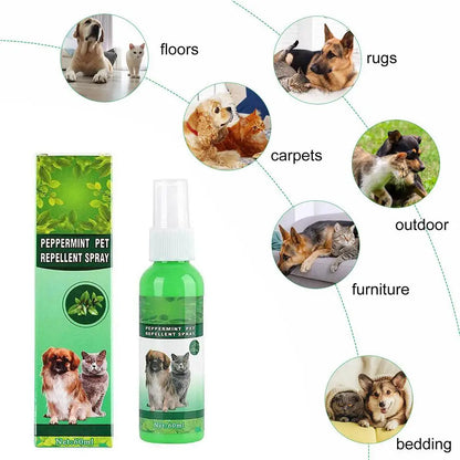 Gouttes Anti-Puces pour Animaux 60ml Tue-Puces Tiques Poux Acariens Chat Soulage les Démangeaisons Antiseptique Soin de la Peau Pulvérisateur Anti-Parasites pour Animaux