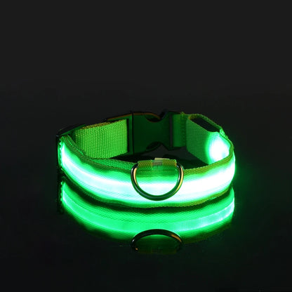 Nylon LED Night Safety, Dog Leash, Fluorescent Pet Dog Collar