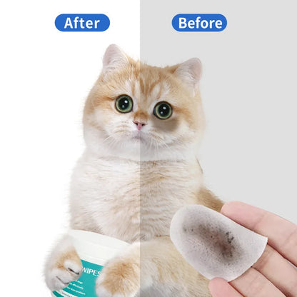Produits de nettoyage pour animaux domestiques Lingettes oculaires pour enlever les traces de larmes Lingettes humides nettoyantes pour chats Nettoyage des yeux et élimination des traces de larmes