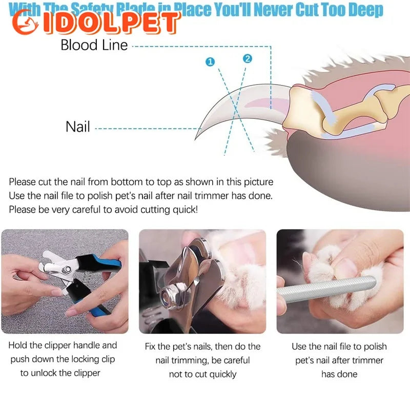 Coupe-ongles professionnel pour animaux de compagnie avec garde de sécurité Ciseaux en acier inoxydable pour chiens et chats pour le soin des griffes Fournitures de toilettage Taille unique