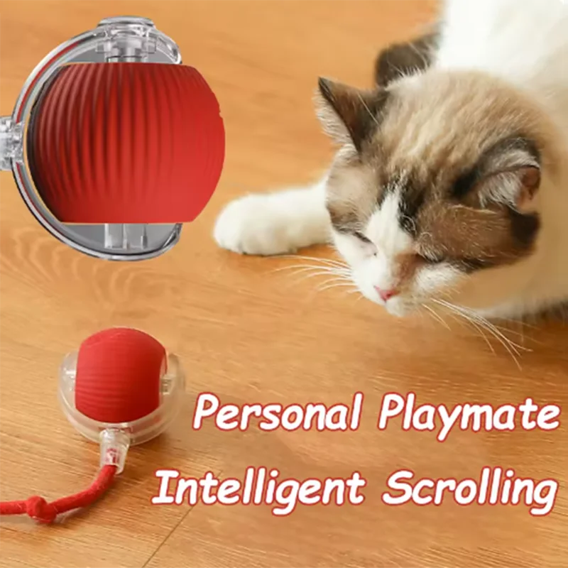Cat toys cat smart cat balls
