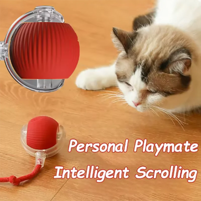 Cat toys cat smart cat balls