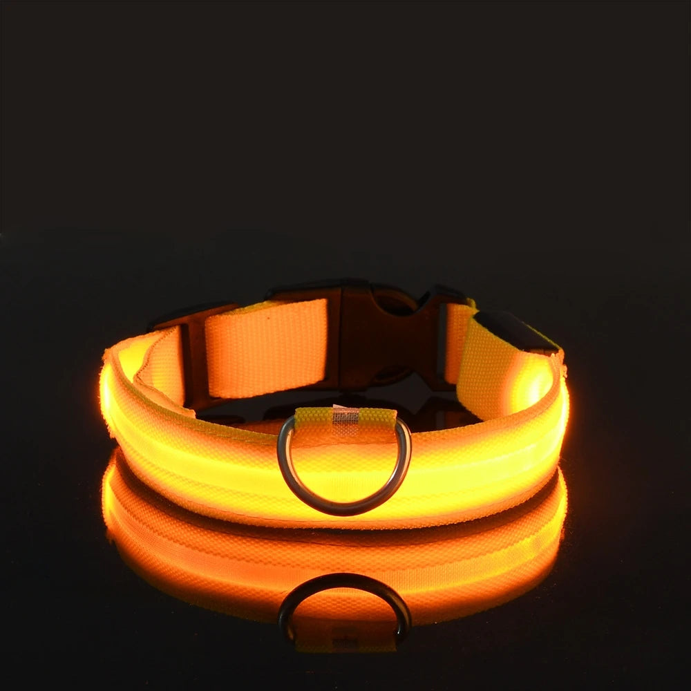 Nylon LED Night Safety, Dog Leash, Fluorescent Pet Dog Collar