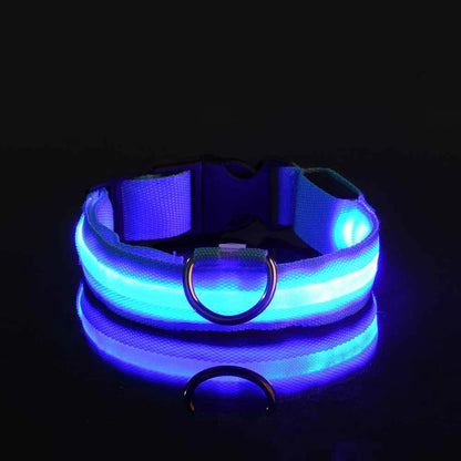 Nylon LED Night Safety, Dog Leash, Fluorescent Pet Dog Collar