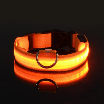 Nylon LED Night Safety, Dog Leash, Fluorescent Pet Dog Collar