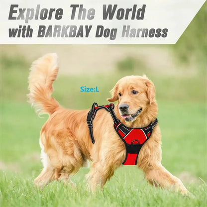 Dog Collars Harness Big Vests Leash Pet