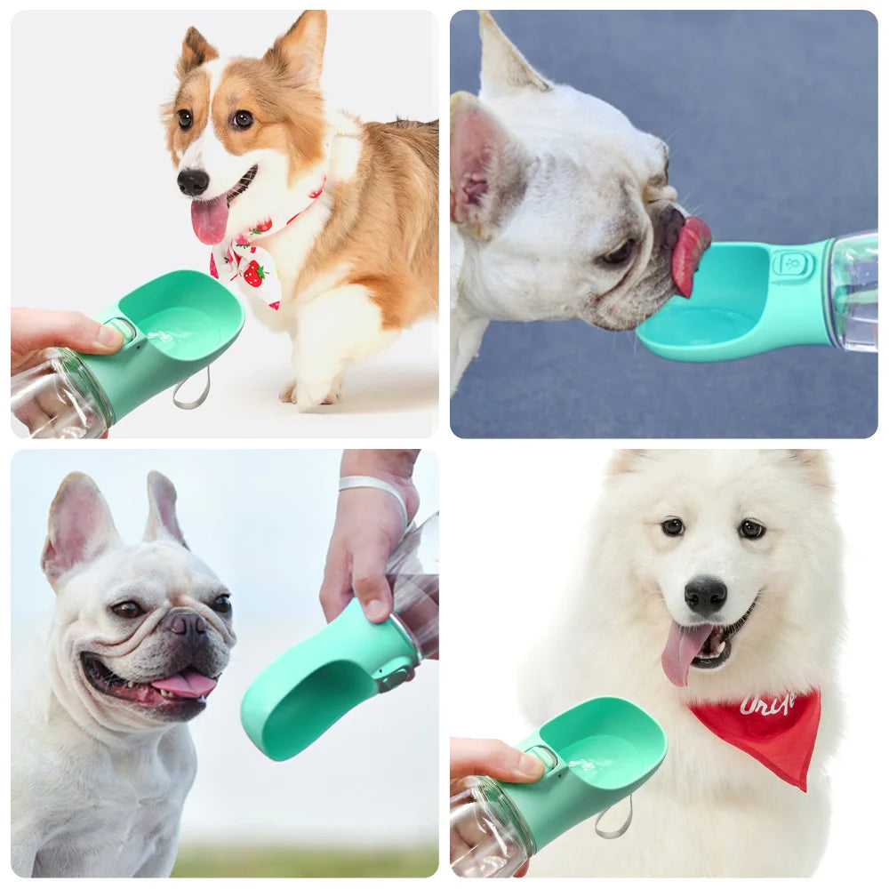 Bouteille d'eau portable pour chien, petite et grande, pour chat, bols d'eau étanches pour promenade en extérieur, fournitures pour Chihuahua et Bouledogue français