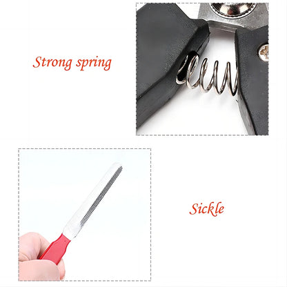 Coupe-ongles pour animaux de compagnie avec lame en forme de faucille, grandes pinces à ongles en acier inoxydable, ciseaux de toilettage multifonctions pour chat et chien (type Teddy)