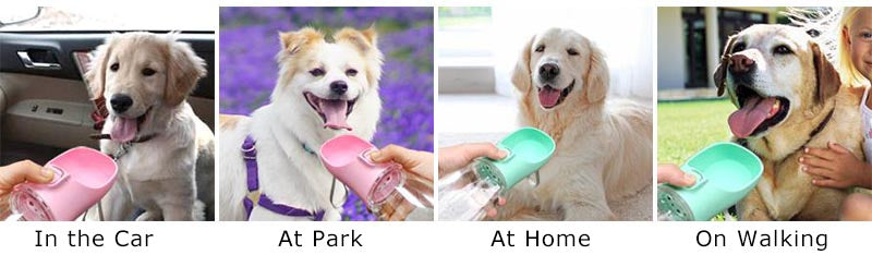 Bouteille d'eau portable pour chien, petite et grande, pour chat, bols d'eau étanches pour promenade en extérieur, fournitures pour Chihuahua et Bouledogue français
