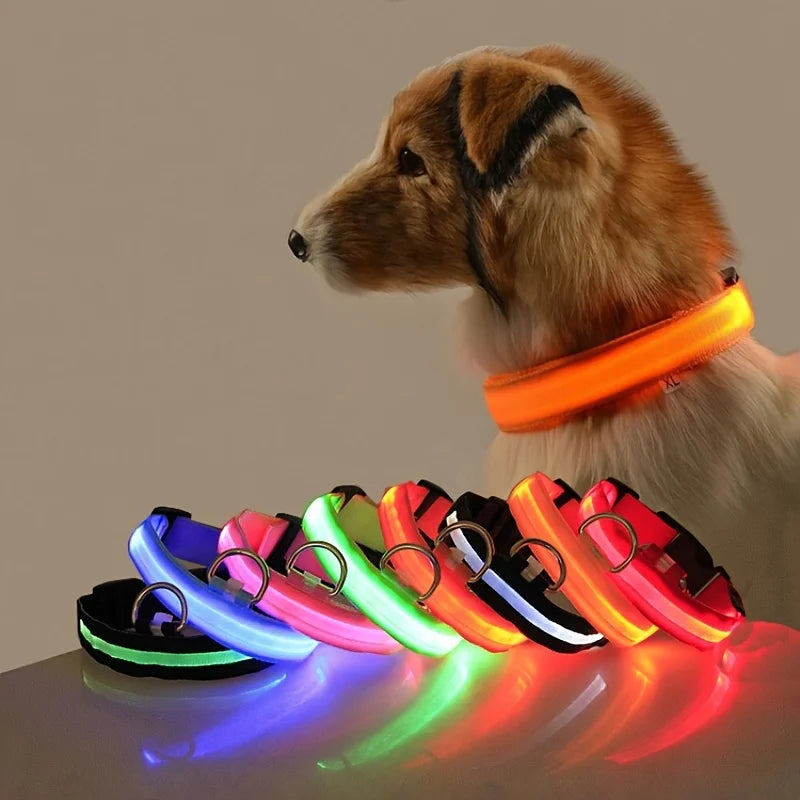 Nylon LED Night Safety, Dog Leash, Fluorescent Pet Dog Collar