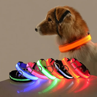 Nylon LED Night Safety, Dog Leash, Fluorescent Pet Dog Collar