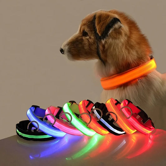 Nylon LED Night Safety, Dog Leash, Fluorescent Pet Dog Collar