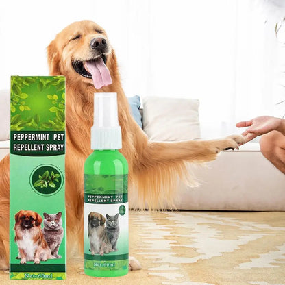 Gouttes Anti-Puces pour Animaux 60ml Tue-Puces Tiques Poux Acariens Chat Soulage les Démangeaisons Antiseptique Soin de la Peau Pulvérisateur Anti-Parasites pour Animaux