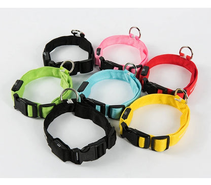 Nylon LED Night Safety, Dog Leash, Fluorescent Pet Dog Collar