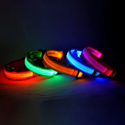 Nylon LED Night Safety, Dog Leash, Fluorescent Pet Dog Collar