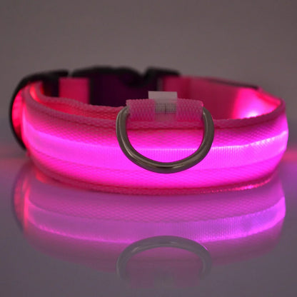 Nylon LED Night Safety, Dog Leash, Fluorescent Pet Dog Collar