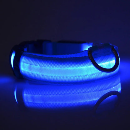 Nylon LED Night Safety, Dog Leash, Fluorescent Pet Dog Collar