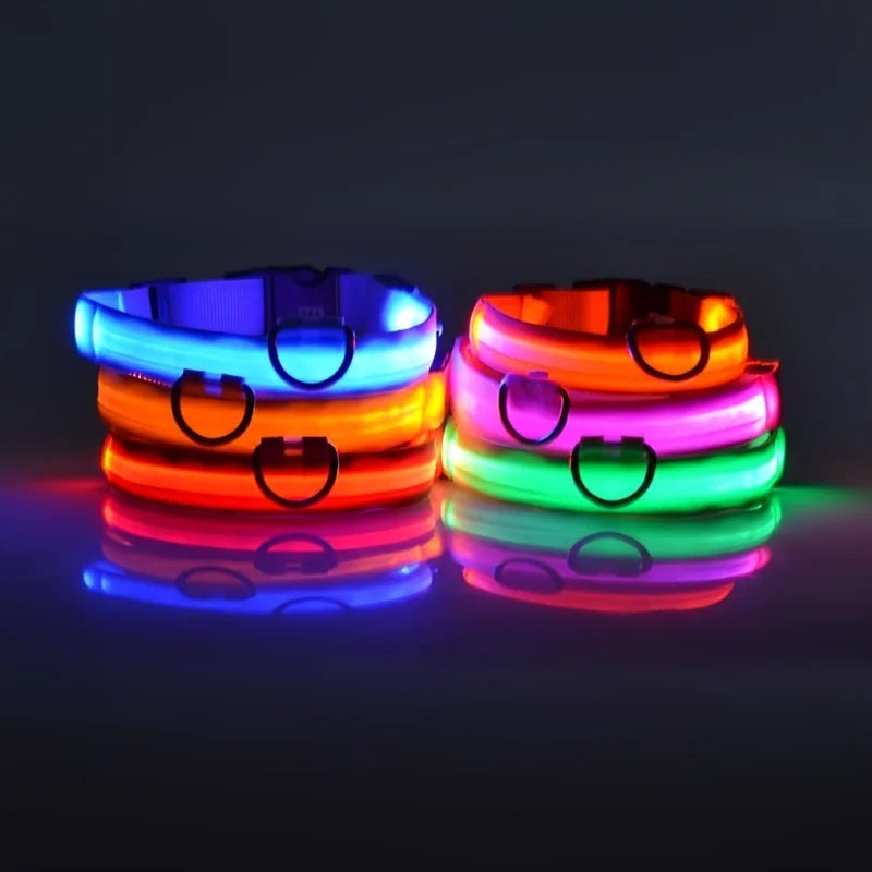 Nylon LED Night Safety, Dog Leash, Fluorescent Pet Dog Collar