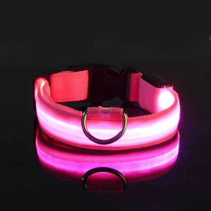 Nylon LED Night Safety, Dog Leash, Fluorescent Pet Dog Collar
