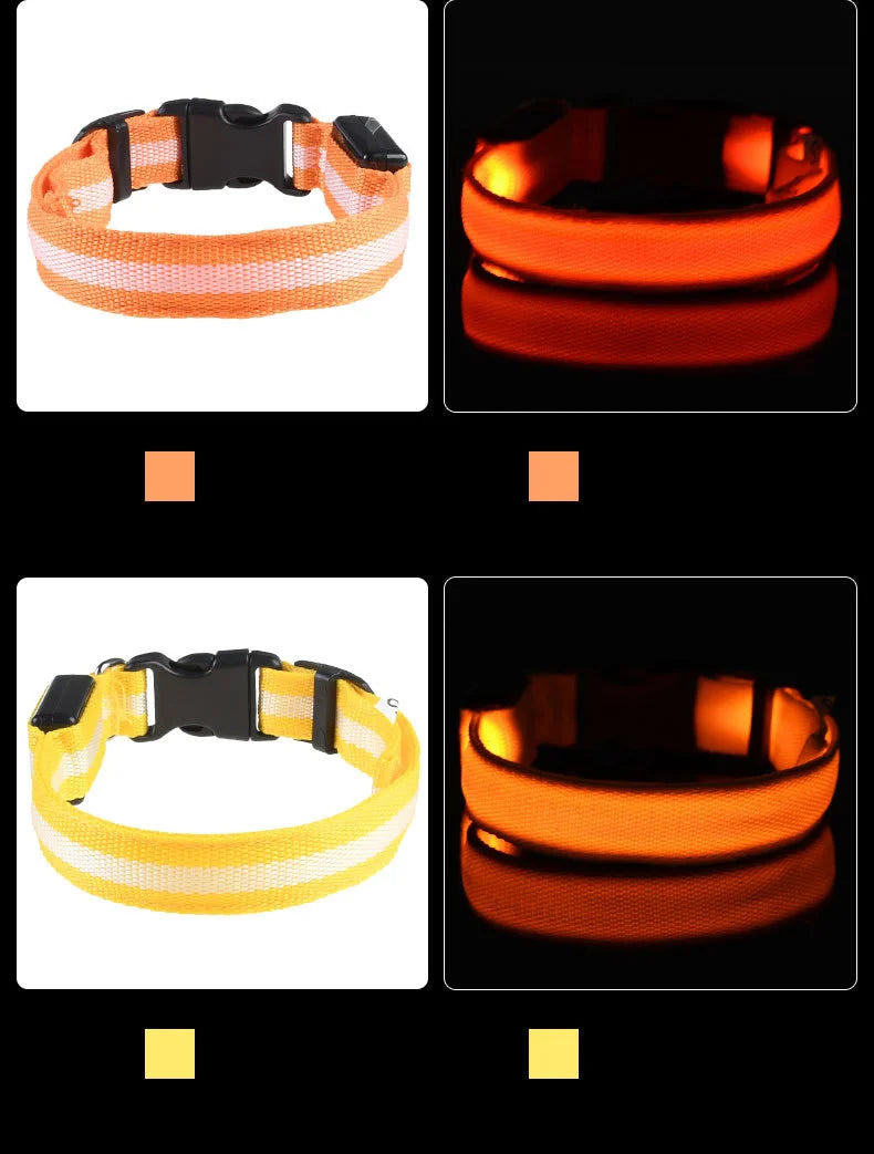Nylon LED Night Safety, Dog Leash, Fluorescent Pet Dog Collar