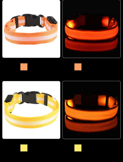 Nylon LED Night Safety, Dog Leash, Fluorescent Pet Dog Collar