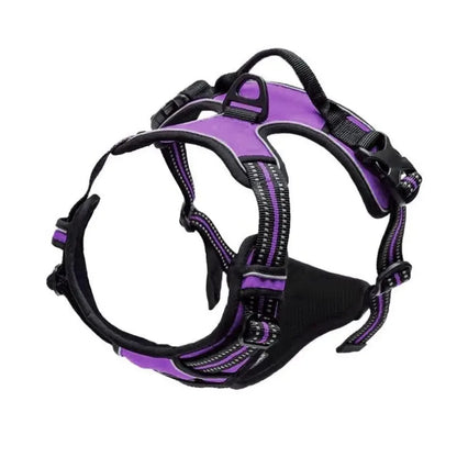 Dog Collars Harness Big Vests Leash Pet