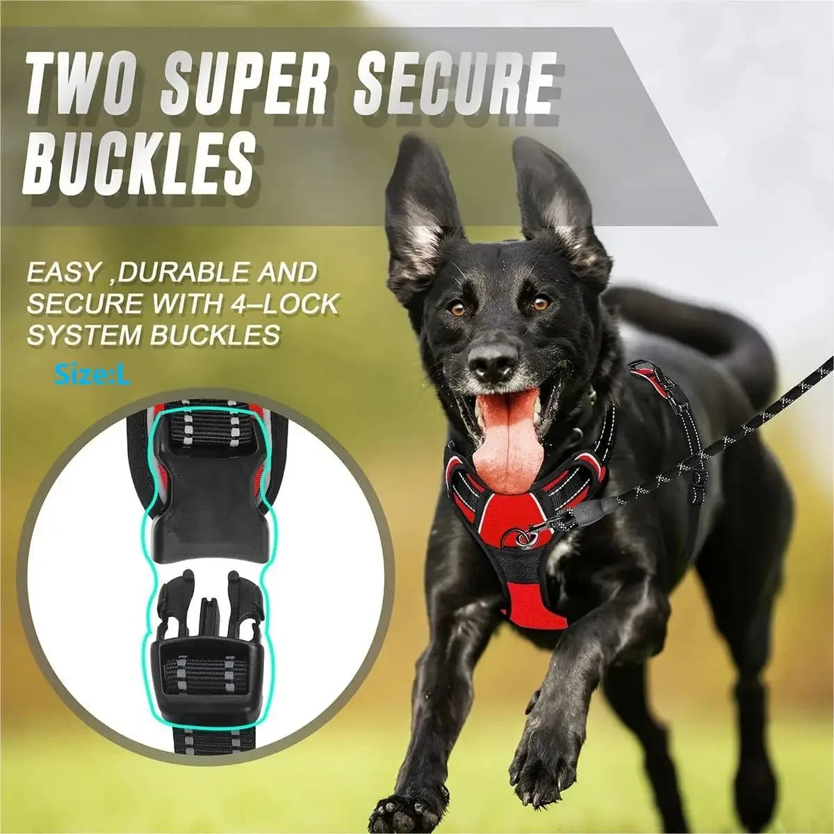 Dog Collars Harness Big Vests Leash Pet