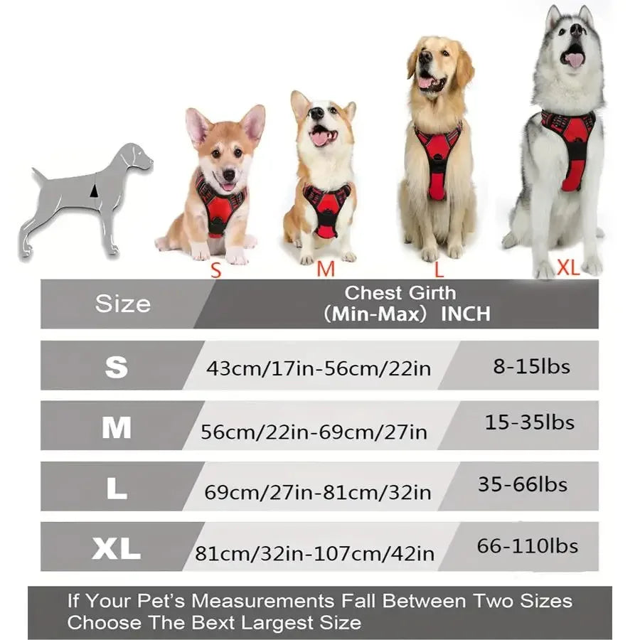 Dog Collars Harness Big Vests Leash Pet