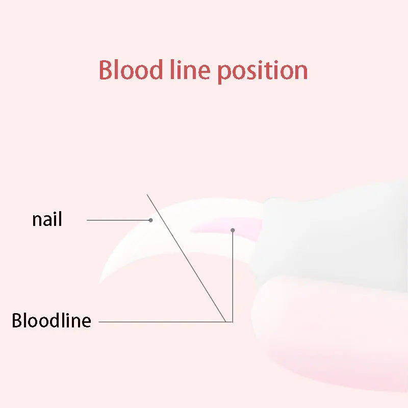 Coupe-ongles pour animaux de compagnie avec lame en forme de faucille, grandes pinces à ongles en acier inoxydable, ciseaux de toilettage multifonctions pour chat et chien (type Teddy)