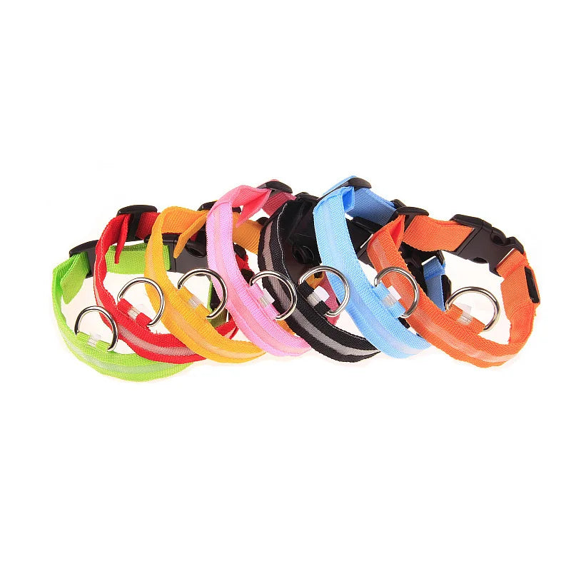 Nylon LED Night Safety, Dog Leash, Fluorescent Pet Dog Collar